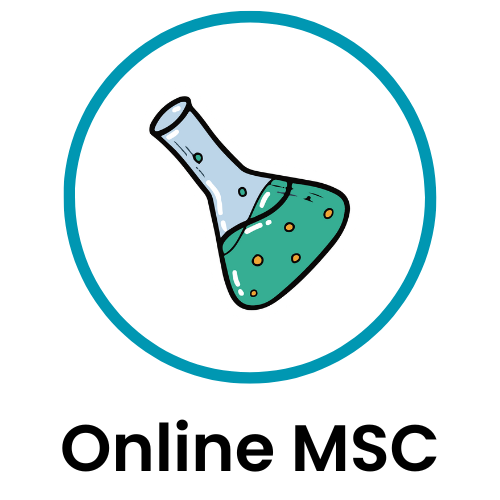 Online BSC
